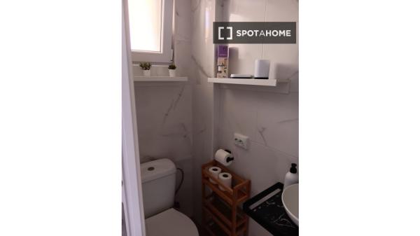 Estudio en alquiler en Torrevieja