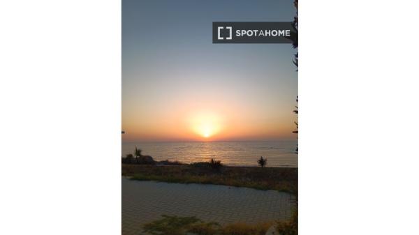 Estudio en alquiler en Torrevieja