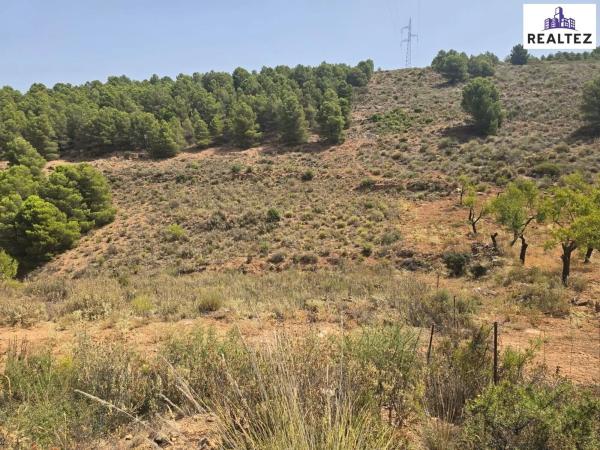 Terreno en Alcolea