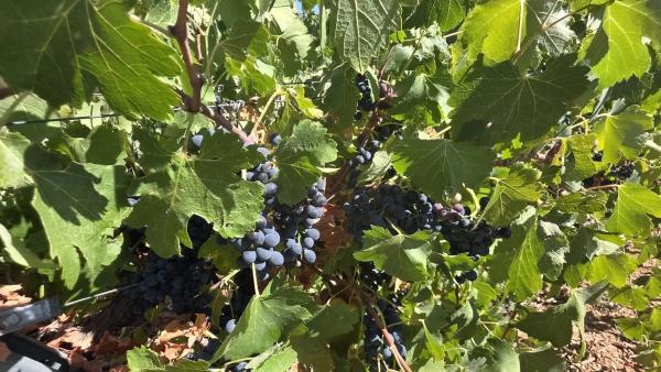 Terreno en El llano ., km 10