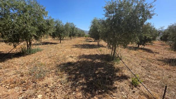 Terreno en El llano ., km 10