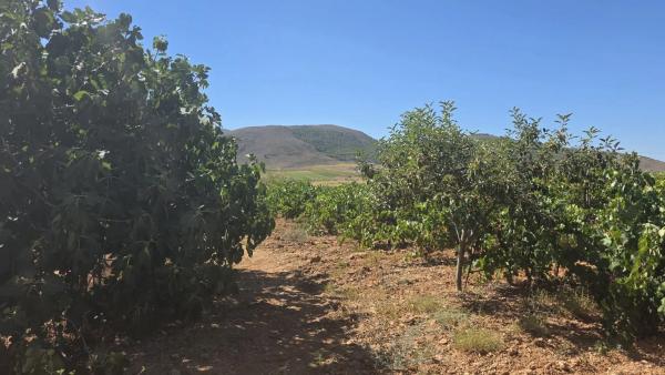 Terreno en El llano ., km 10