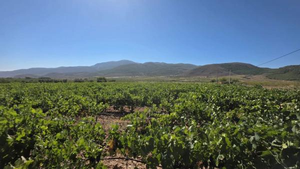 Terreno en El llano ., km 10