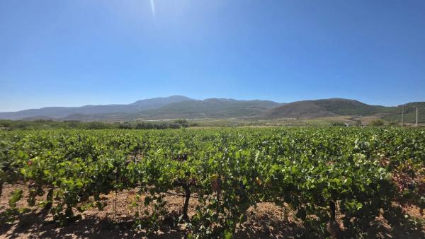 Terreno en El llano ., km 10
