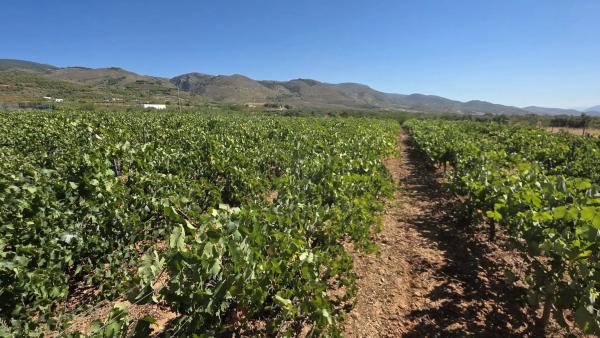 Terreno en El llano ., km 10