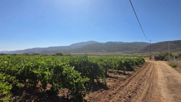 Terreno en El llano ., km 10