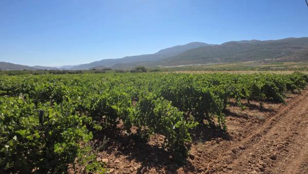Terreno en El llano ., km 10