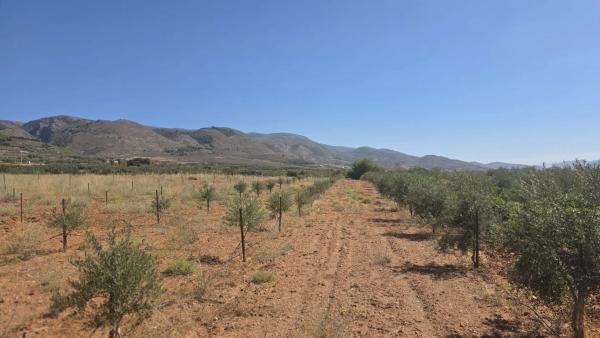 Terreno en El llano ., km 10