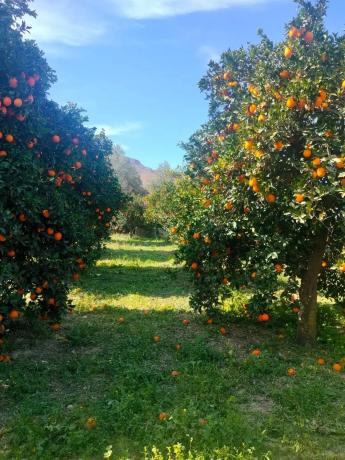 Terreno en pasaje Barranquera s/n