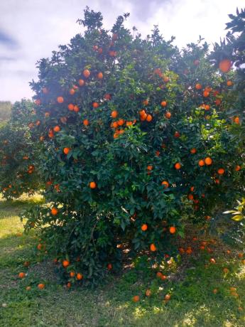 Terreno en pasaje Barranquera s/n