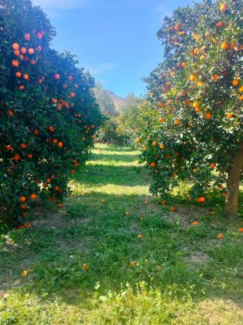 Terreno en pasaje Barranquera s/n