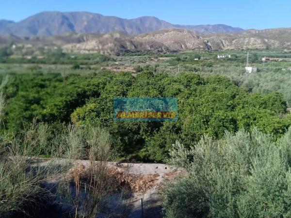 Terreno en Santa Cruz