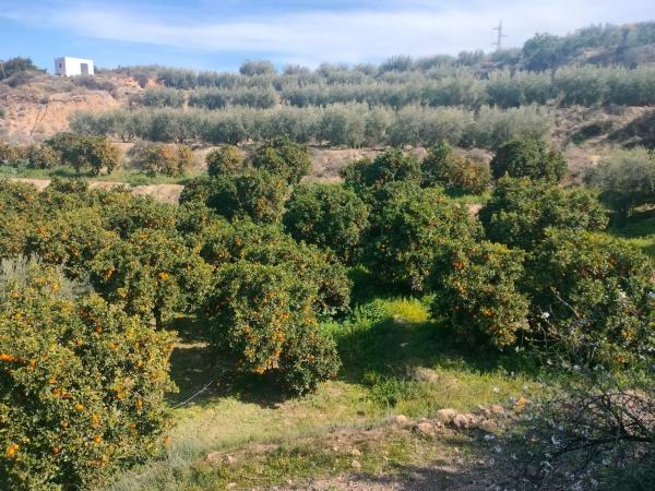 Terreno en pasaje Barranquera s/n