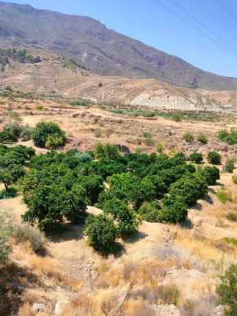 Terreno en pasaje Barranquera s/n