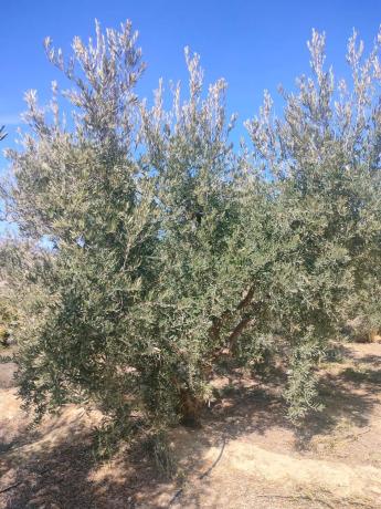 Terreno en pasaje Barranquera s/n