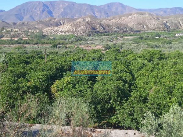 Terreno en Santa Cruz