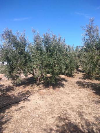 Terreno en pasaje Barranquera s/n