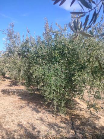 Terreno en pasaje Barranquera s/n