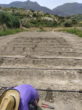 Terreno en terque s/n