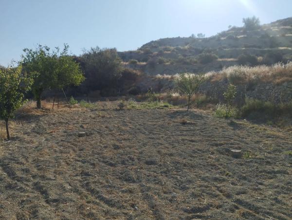 Terreno en terque s/n