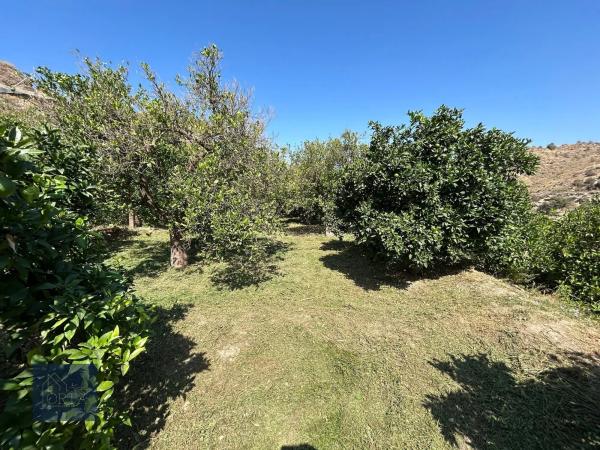 Terreno en calle la torre, 16