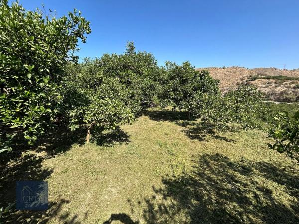 Terreno en calle la torre, 16