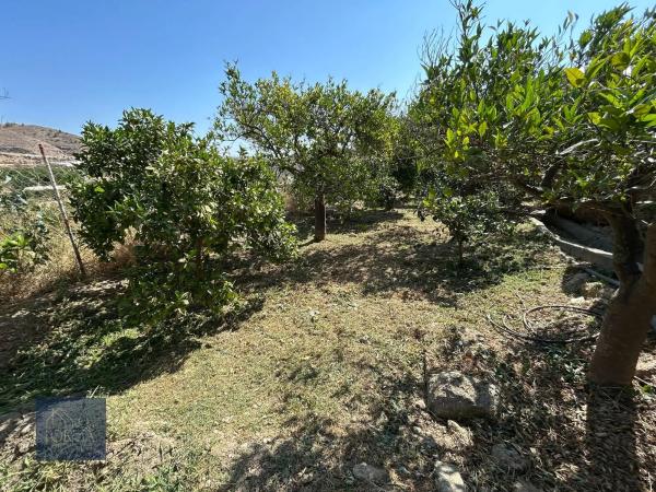 Terreno en calle la torre, 16