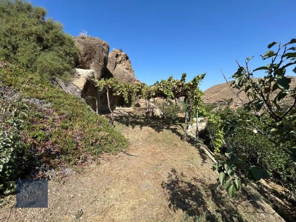 Terreno en calle la torre, 16