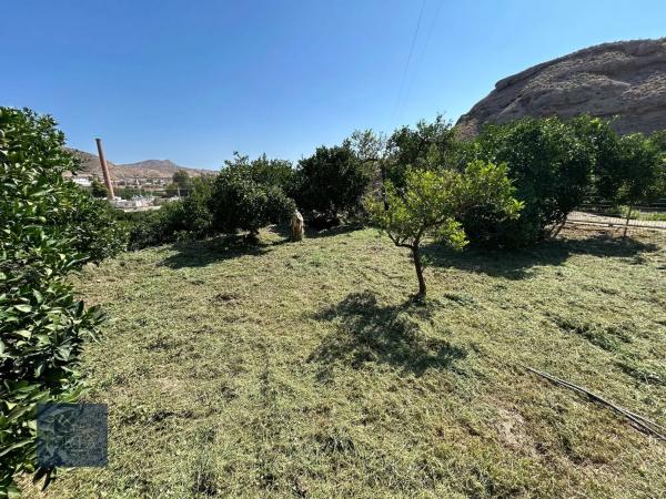 Terreno en calle la torre, 16