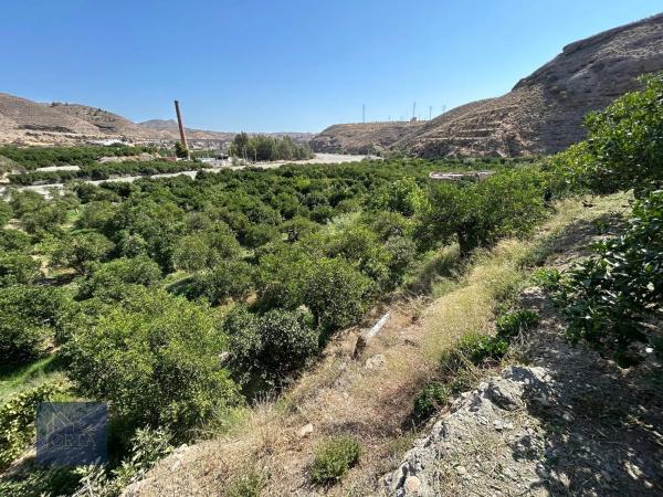Terreno en calle la torre, 16