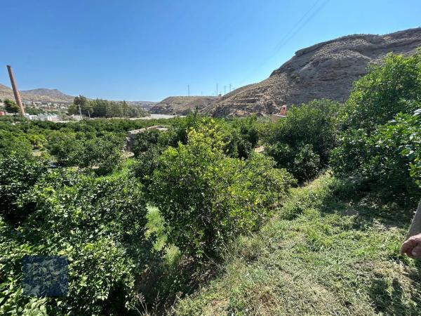 Terreno en calle la torre, 16