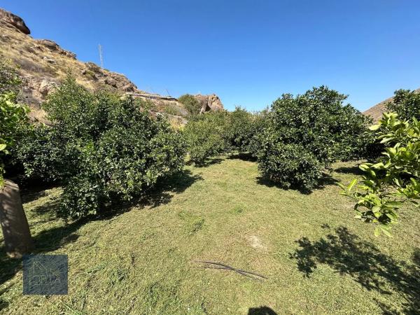 Terreno en calle la torre, 16