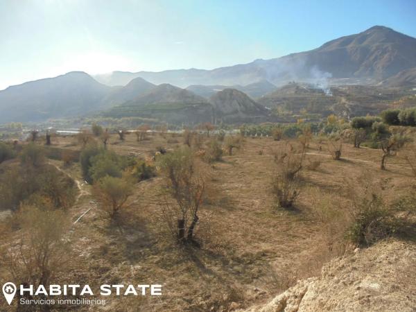 Terreno en Paraje Cortinas, 1