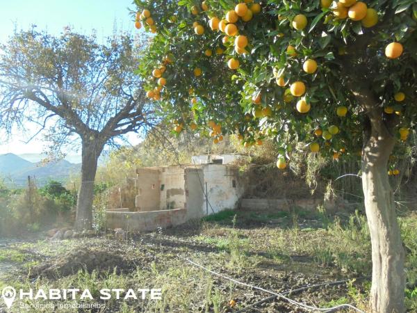Terreno en Paraje Cortinas s/n
