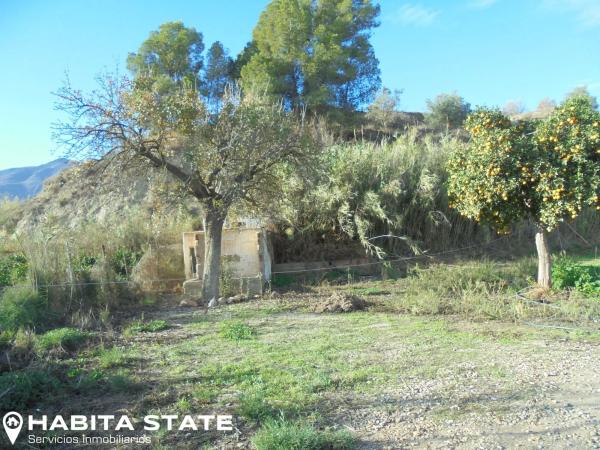 Terreno en Paraje Cortinas s/n