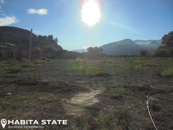 Terreno en Paraje Cortinas s/n