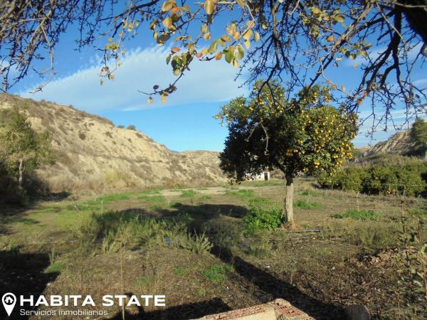 Terreno en Paraje Cortinas s/n