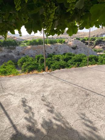 Terreno en Terque s/n