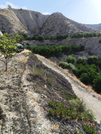 Terreno en Terque s/n