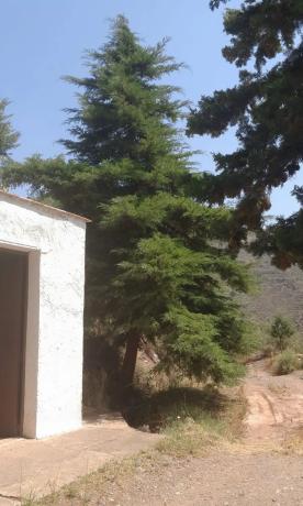 Terreno en Barranco de Jalí, km 0