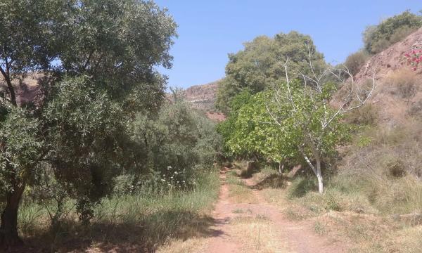 Terreno en Barranco de Jalí, km 0