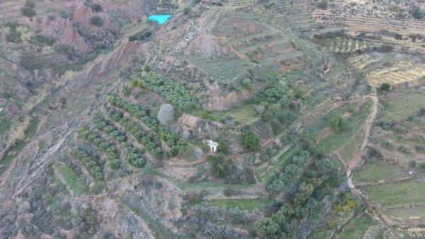 Terreno en Barranco de Jalí, km 0