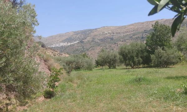 Terreno en Barranco de Jalí, km 0