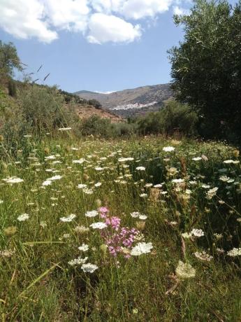Terreno en Barranco de Jalí, km 0
