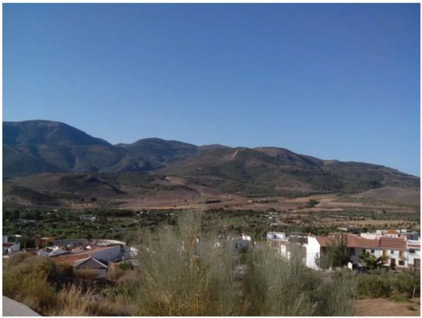 Terreno en calle Bonayar, 4