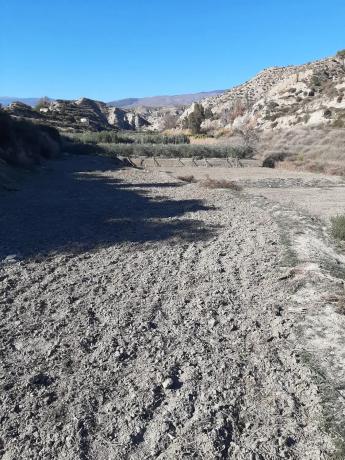 Terreno en Paraje la Olleta s/n