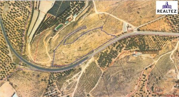 Terreno en Alcolea
