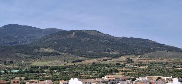 Terreno en calle Bonayar, 46