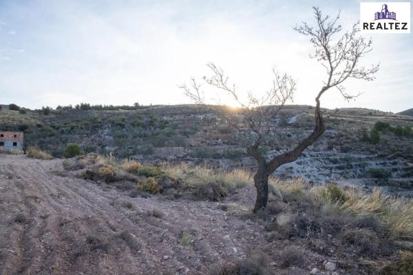 Terreno en Alcolea