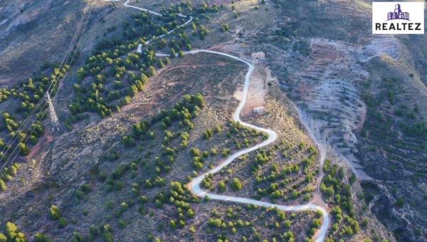 Terreno en Alcolea